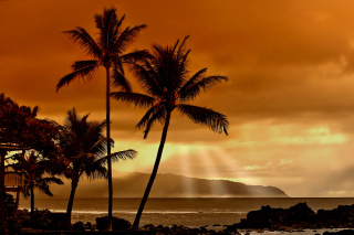 Acapulco Sunset - Obrázkek zdarma pro Sony Xperia Z
