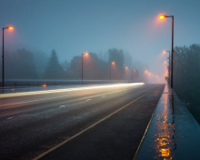 Обои Road in Fog 220x176