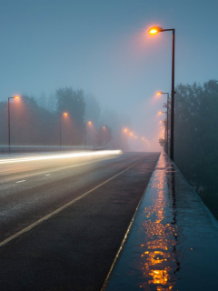 Road in Fog wallpaper 240x320