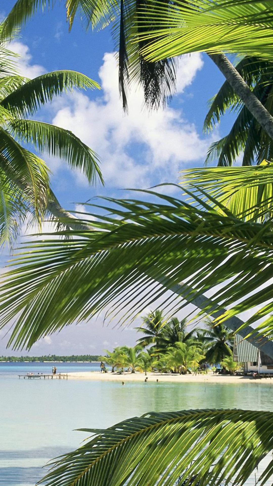 French Polynesia Island wallpaper 1080x1920