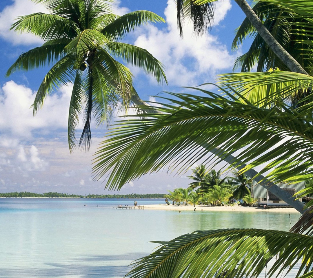 French Polynesia Island wallpaper 1080x960
