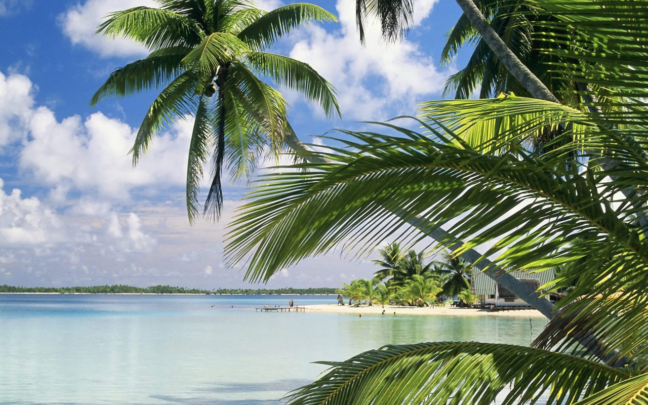 French Polynesia Island screenshot #1 1280x800