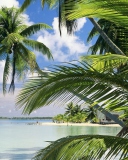 Fondo de pantalla French Polynesia Island 128x160