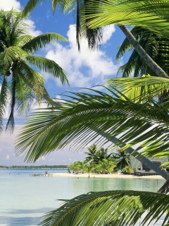 Fondo de pantalla French Polynesia Island 240x320