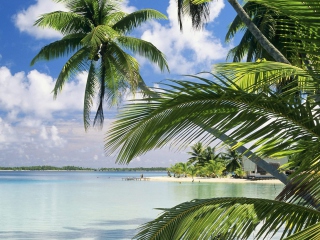 Screenshot №1 pro téma French Polynesia Island 320x240