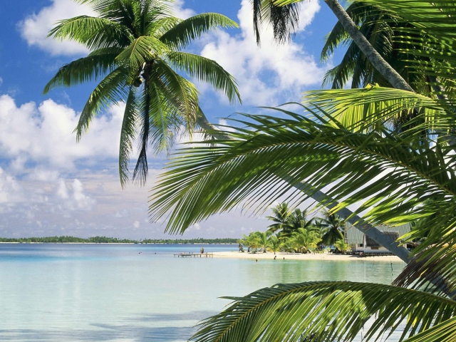 Fondo de pantalla French Polynesia Island 640x480