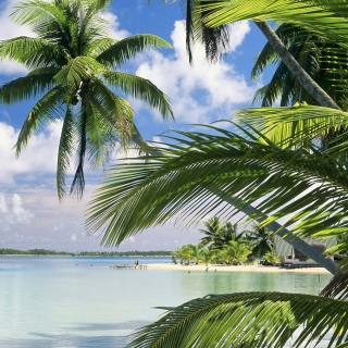 French Polynesia Island papel de parede para celular para iPad 3