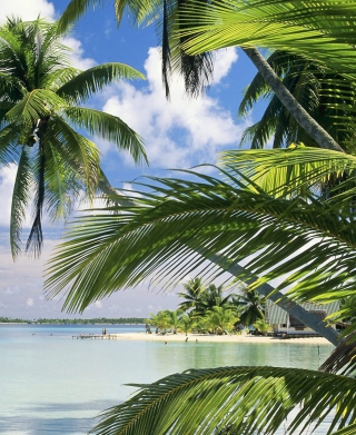 French Polynesia Island papel de parede para celular para iPhone 5S