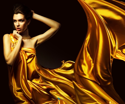 Das Golden Lady Wallpaper 480x400