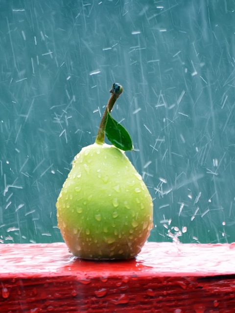 Green Pear In The Rain wallpaper 480x640