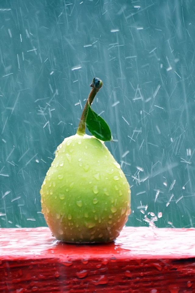 Das Green Pear In The Rain Wallpaper 640x960