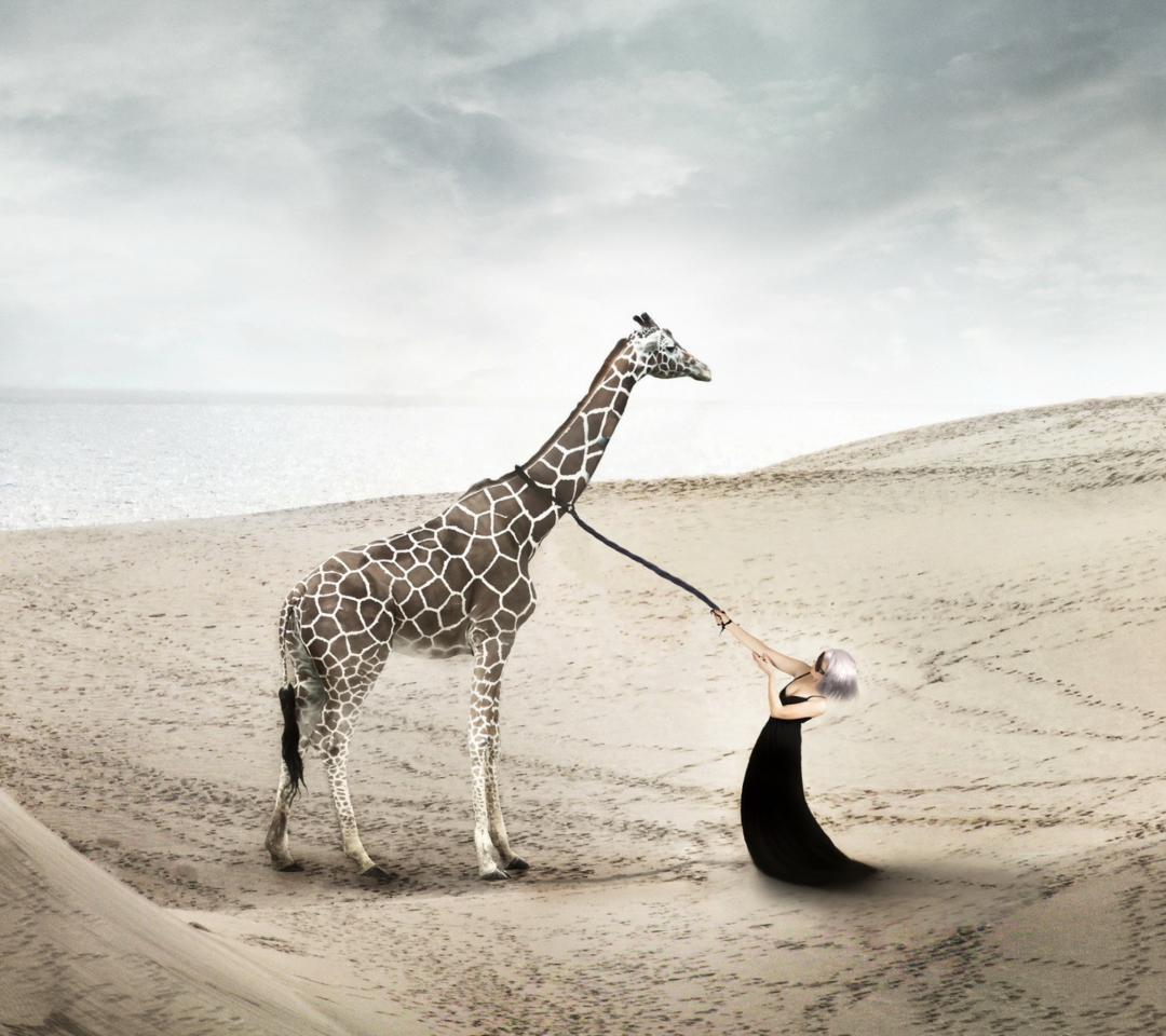Das Girl And Giraffe Wallpaper 1080x960