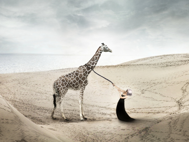 Girl And Giraffe screenshot #1 640x480