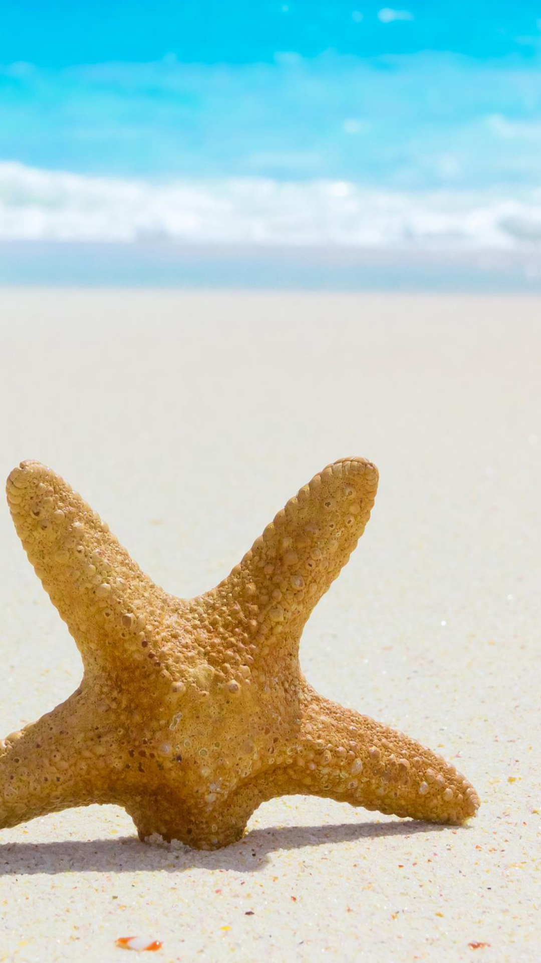 Обои Starfish On Beach 1080x1920
