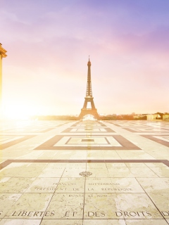 Paris - Palais De Chaillot wallpaper 240x320