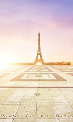 Screenshot №1 pro téma Paris - Palais De Chaillot 240x400