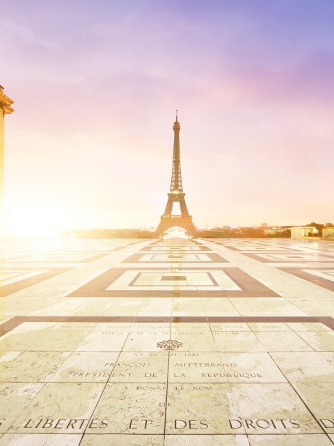 Paris - Palais De Chaillot screenshot #1 480x640