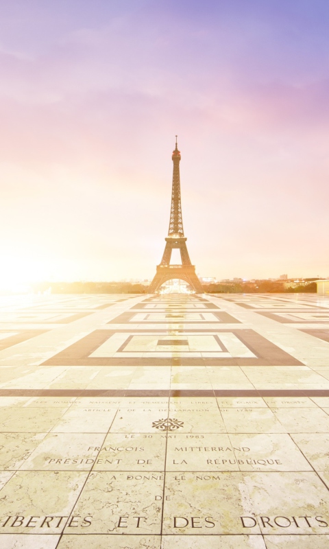 Paris - Palais De Chaillot screenshot #1 480x800