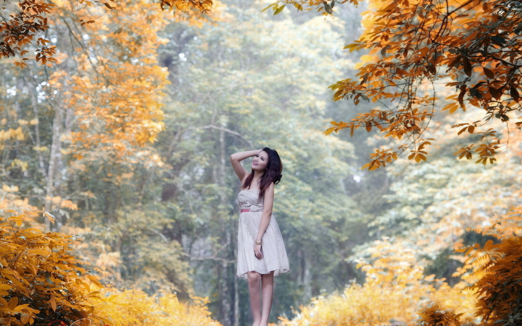 Fondo de pantalla Girl In Autumn Forest 1680x1050