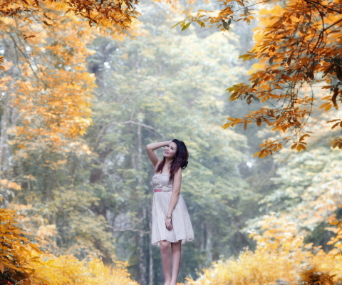 Screenshot №1 pro téma Girl In Autumn Forest 480x400
