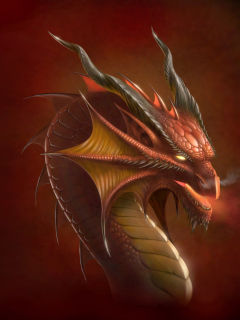 Sfondi Dragon Head 240x320