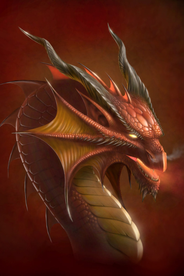 Das Dragon Head Wallpaper 640x960