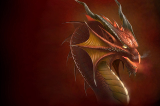 Dragon Head Picture for Android, iPhone and iPad