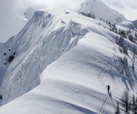 Powder Creek Lodge - British Columbia screenshot #1 480x400