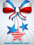 United states america Idependence day 4th july wallpaper 132x176