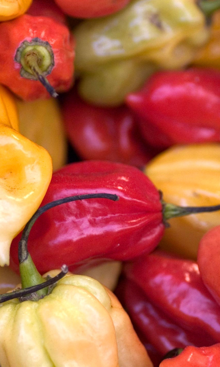 Das Bell Pepper Wallpaper 768x1280