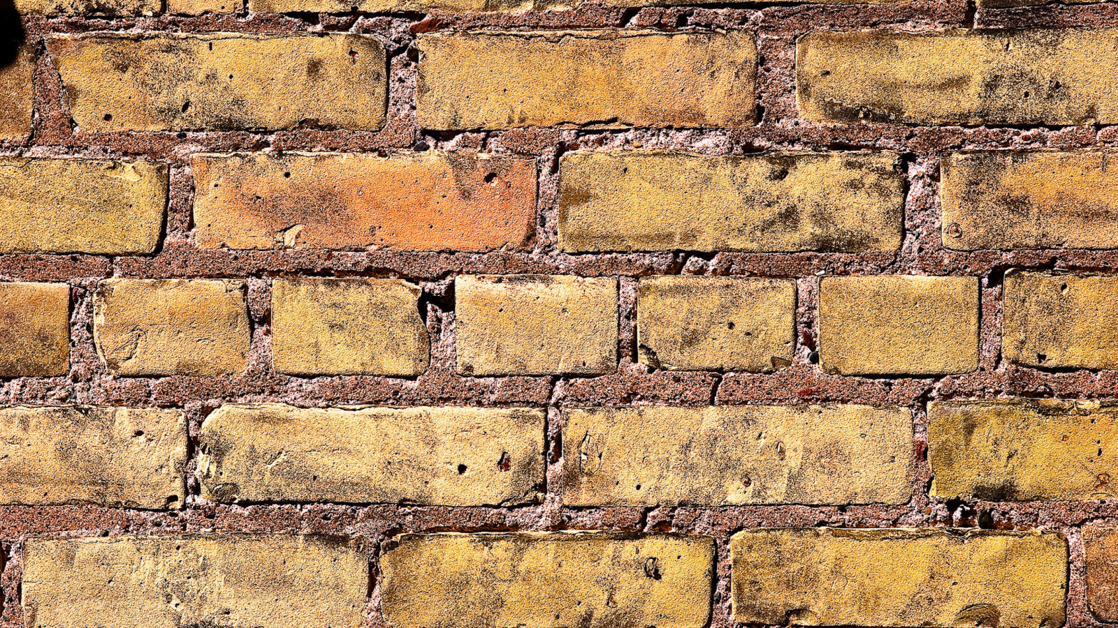 Sfondi Brick Wall 1600x900