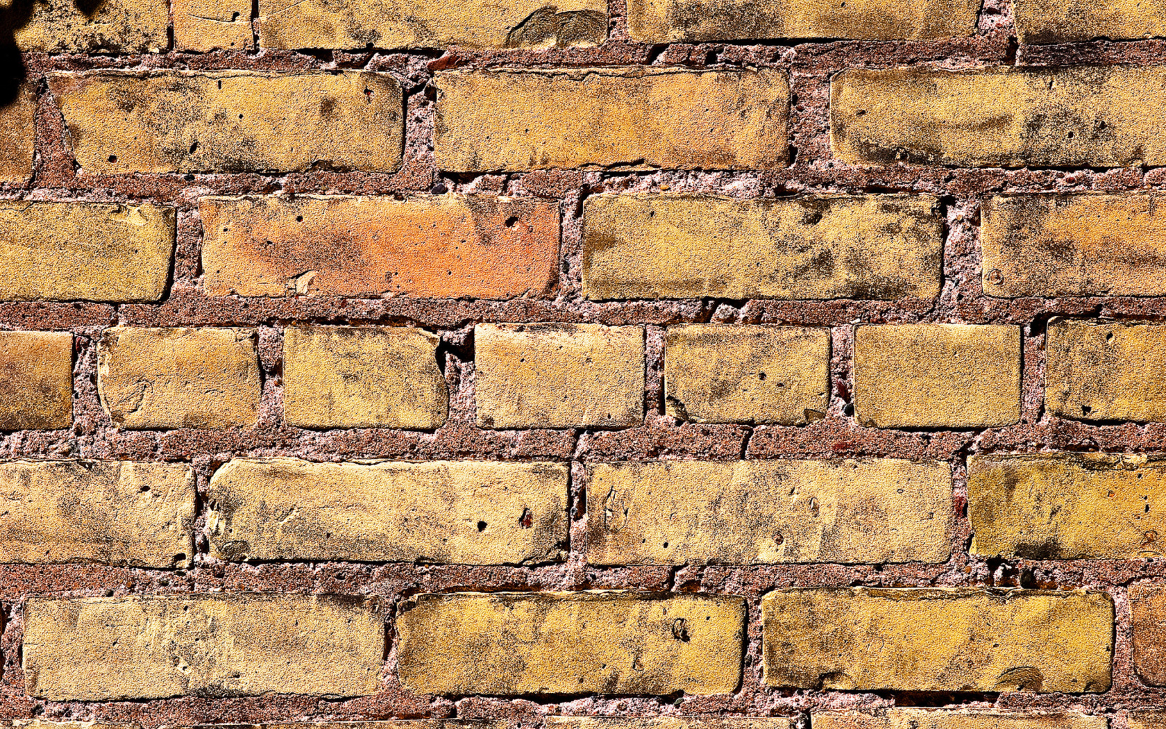 Brick Wall wallpaper 1680x1050