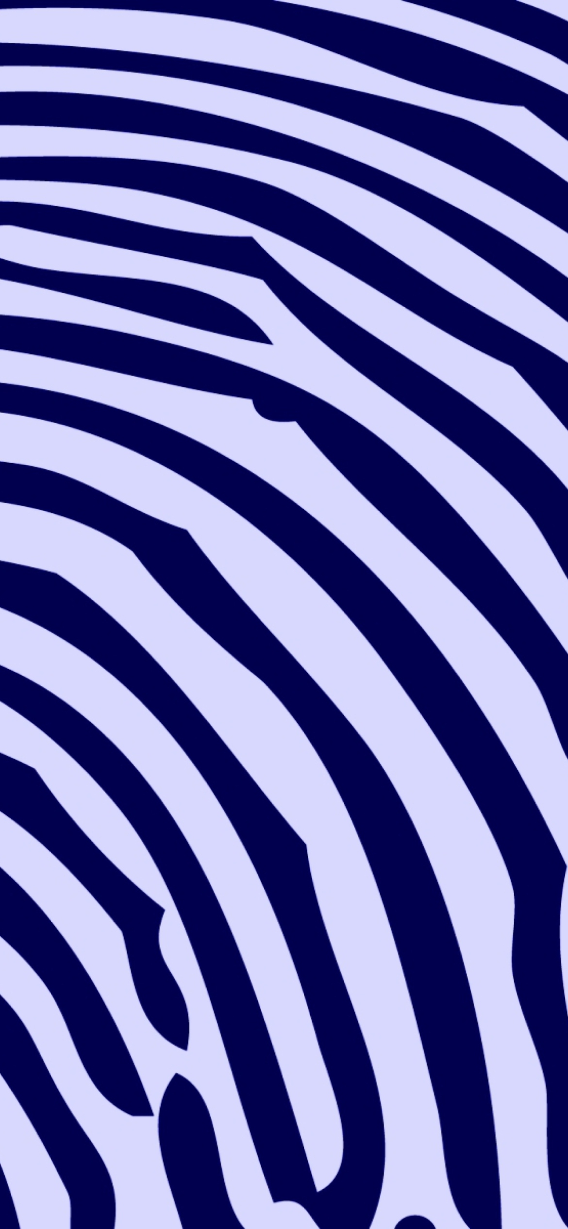 Обои Zebra Pattern 1170x2532