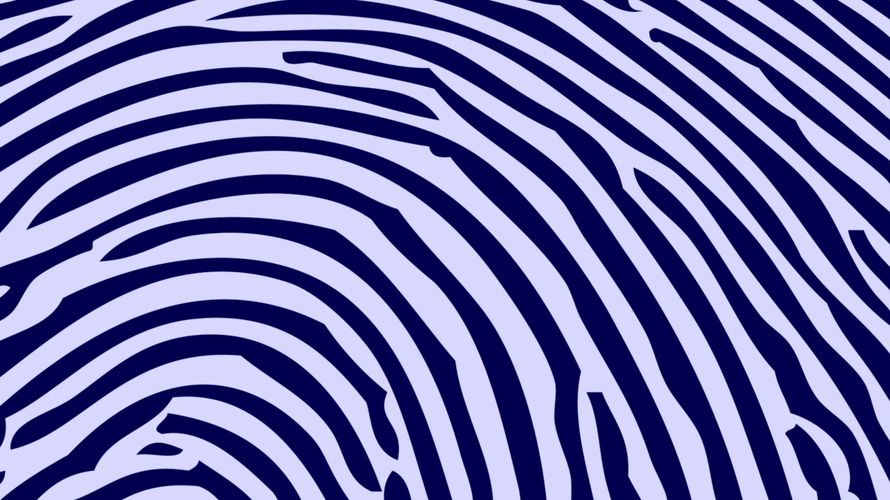 Zebra Pattern wallpaper 1280x720