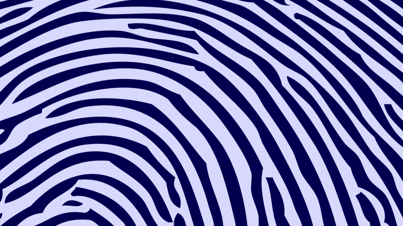 Screenshot №1 pro téma Zebra Pattern 1366x768