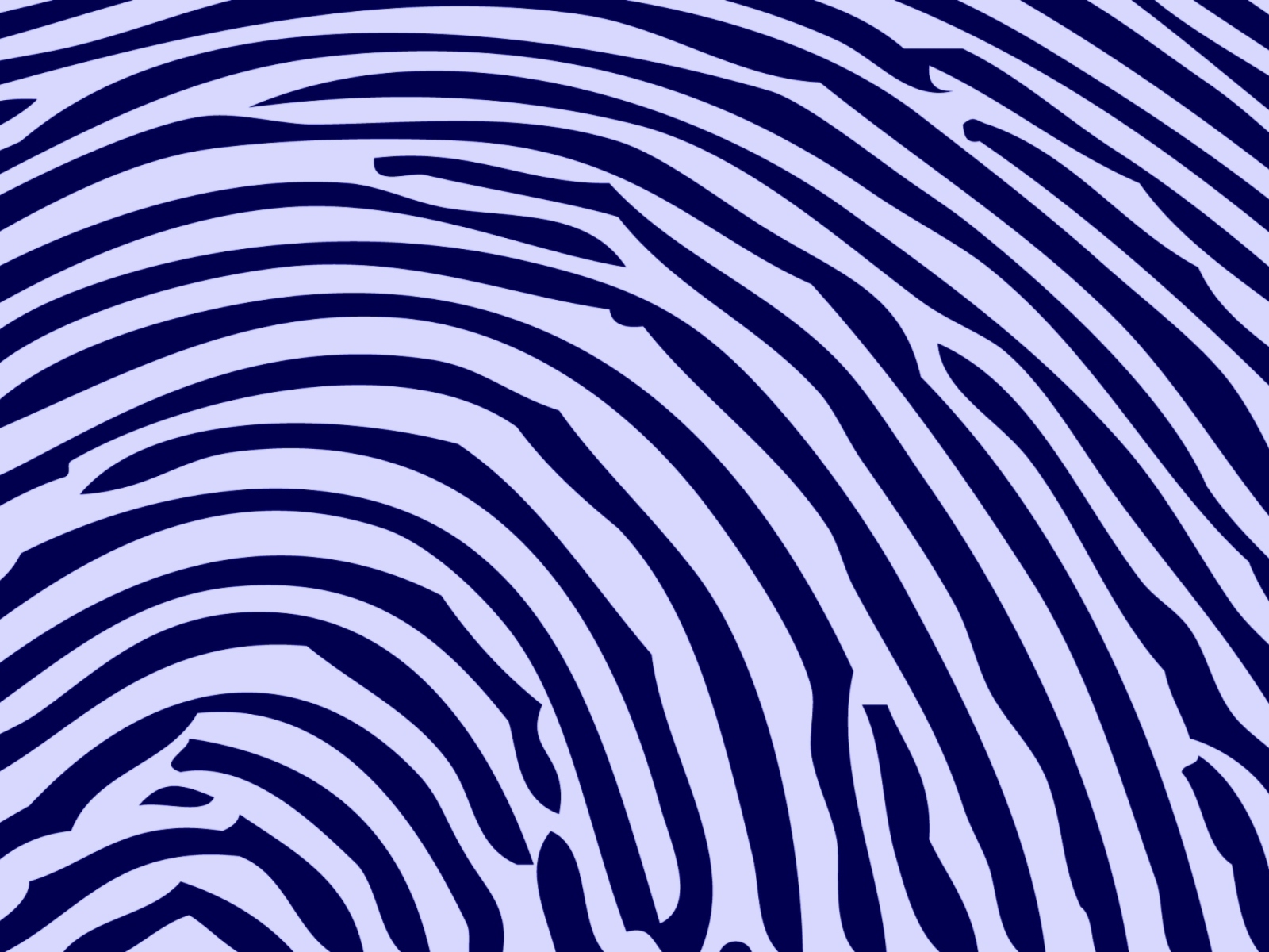 Zebra Pattern screenshot #1 1600x1200