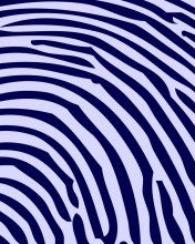 Das Zebra Pattern Wallpaper 176x220