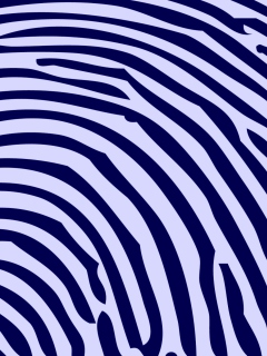 Das Zebra Pattern Wallpaper 240x320