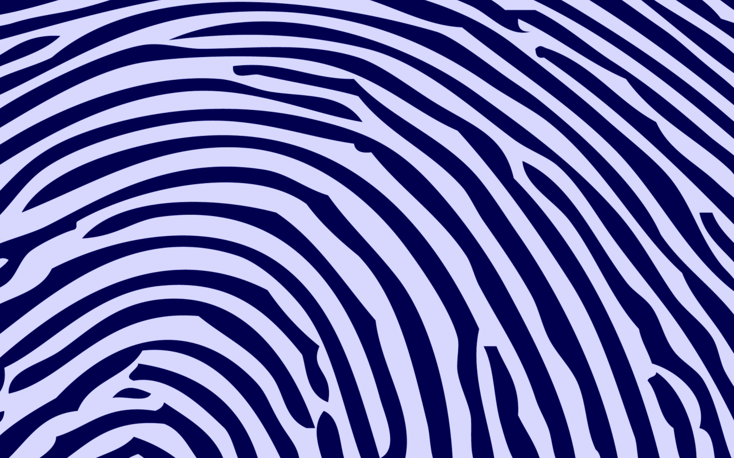 Screenshot №1 pro téma Zebra Pattern 2560x1600