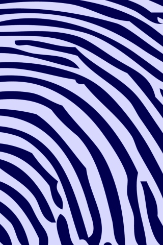 Fondo de pantalla Zebra Pattern 320x480