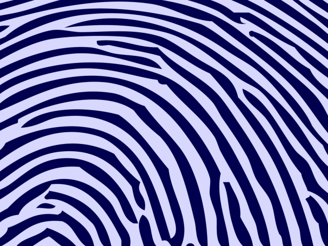 Das Zebra Pattern Wallpaper 640x480