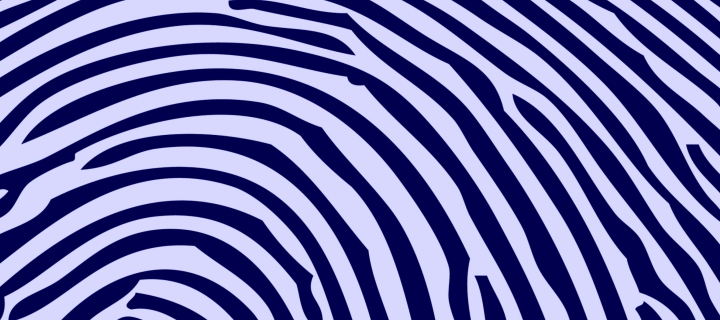 Das Zebra Pattern Wallpaper 720x320