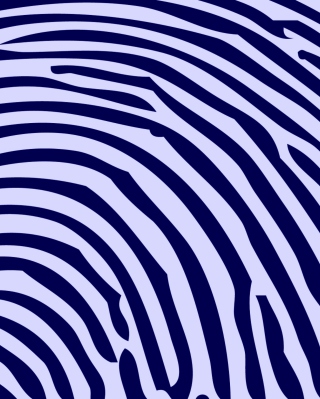 Zebra Pattern sfondi gratuiti per Nokia Lumia 800