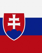Das Slovakia Flag Wallpaper 176x220