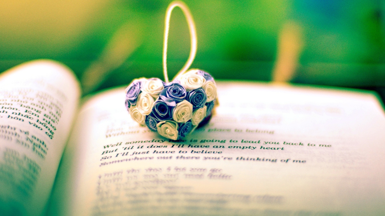 Обои Flower Heart On Love Book 1600x900