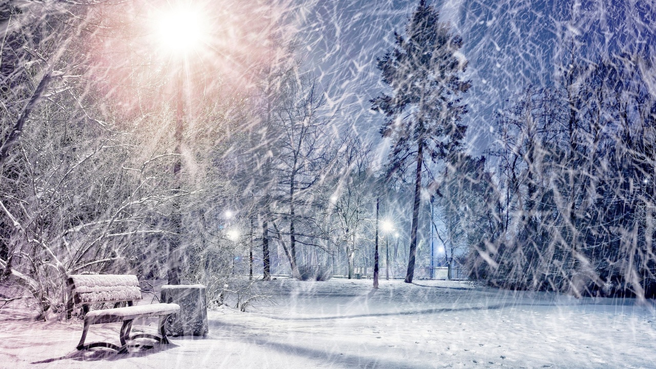 Das Winter Evening in Park Wallpaper 1280x720