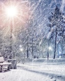 Обои Winter Evening in Park 128x160