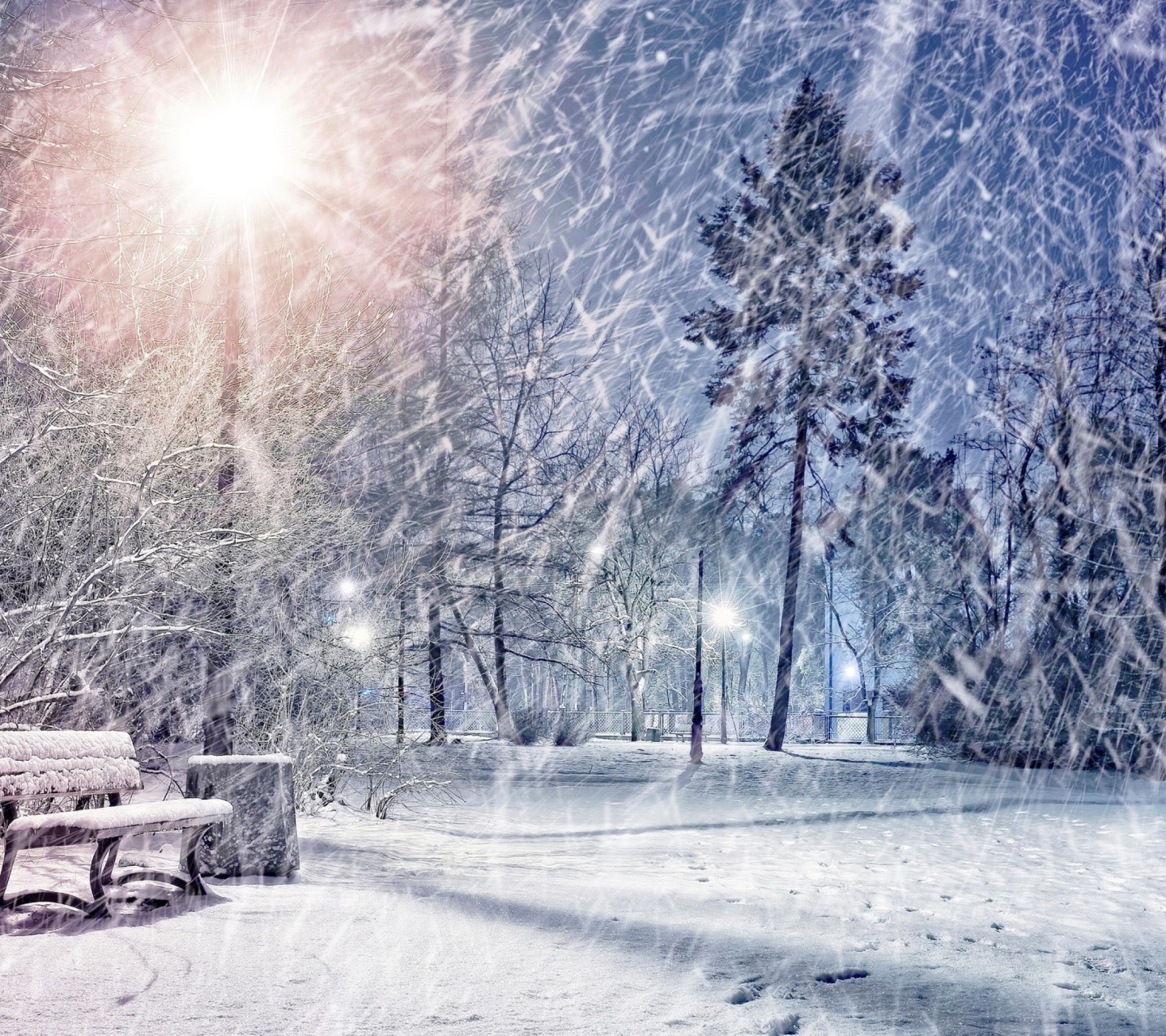 Sfondi Winter Evening in Park 1440x1280