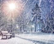 Fondo de pantalla Winter Evening in Park 176x144