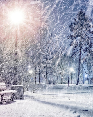 Winter Evening in Park sfondi gratuiti per Nokia Lumia 928